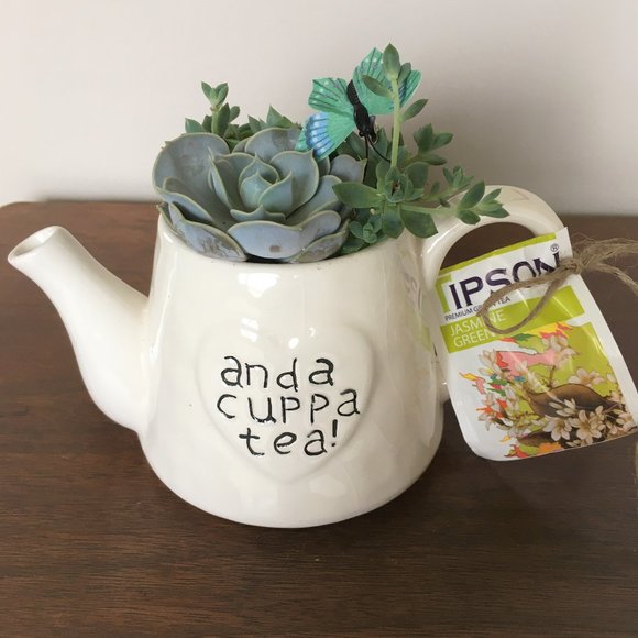 Teapot Planter! - Picture 1 of 2